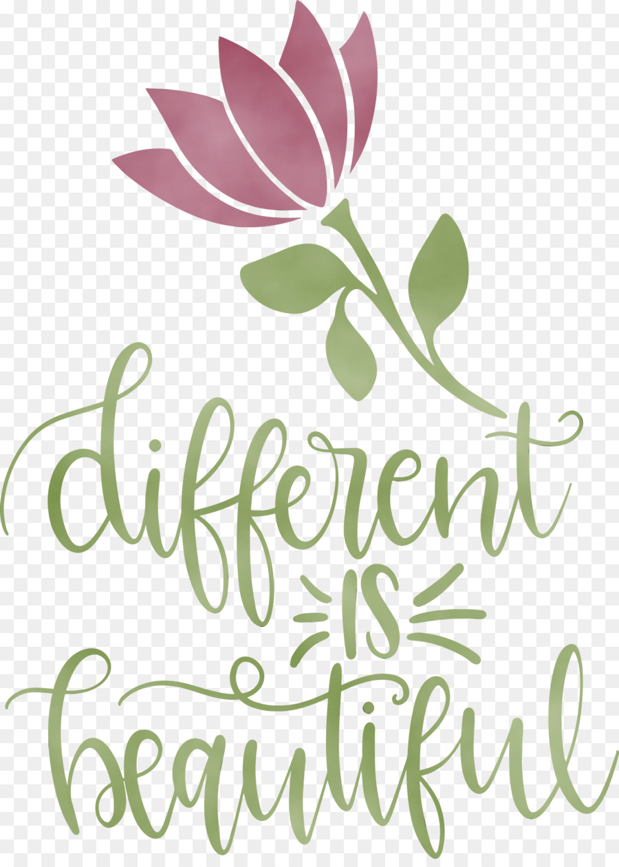 Design Floral，Folha PNG