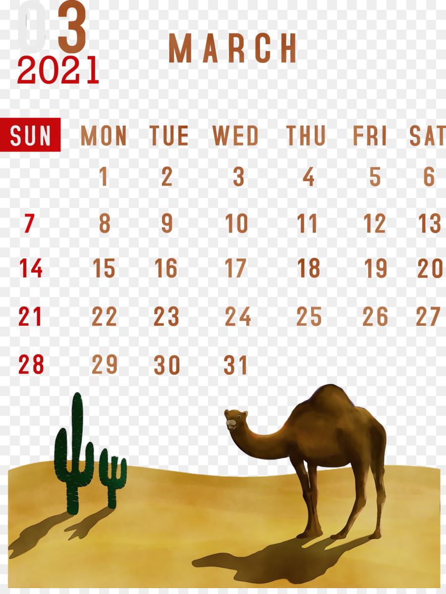 Calendário Lunar，Meter PNG