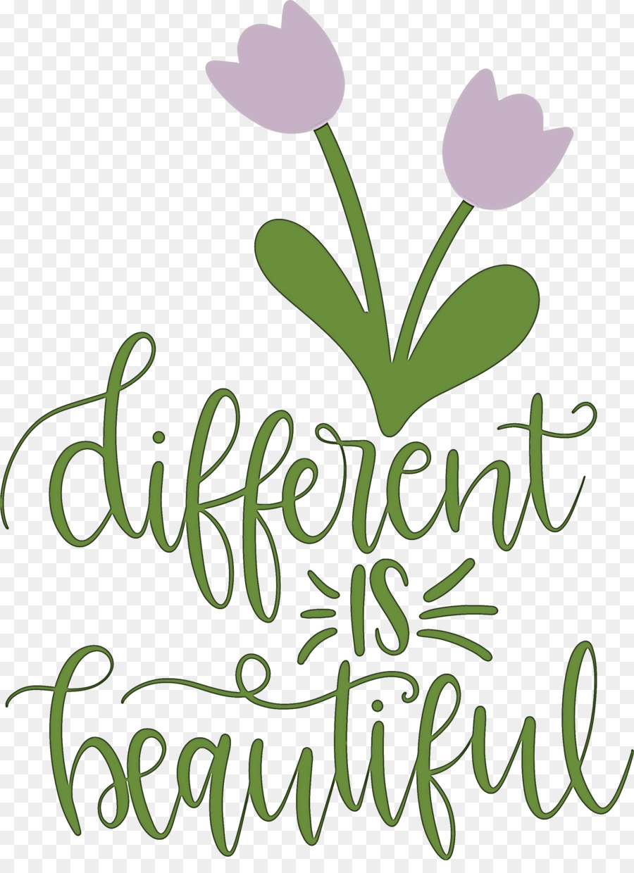 Design Floral，Folha PNG