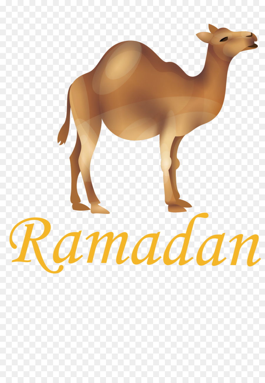 Deer，Camelos PNG