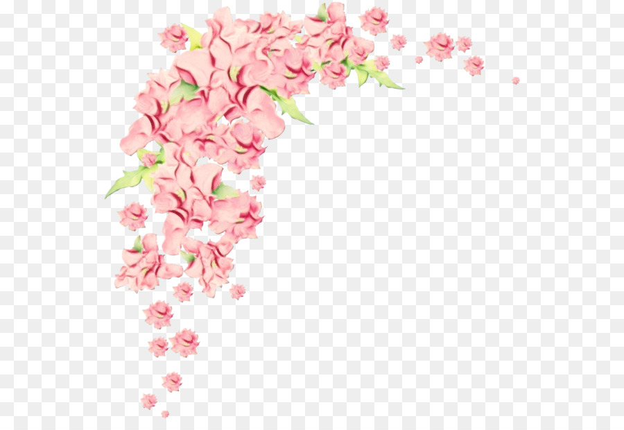 Flor，Design Floral PNG