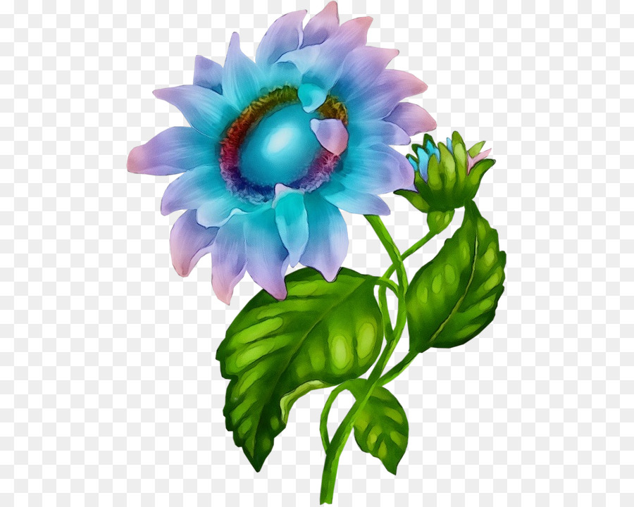 Flor，Desenho PNG