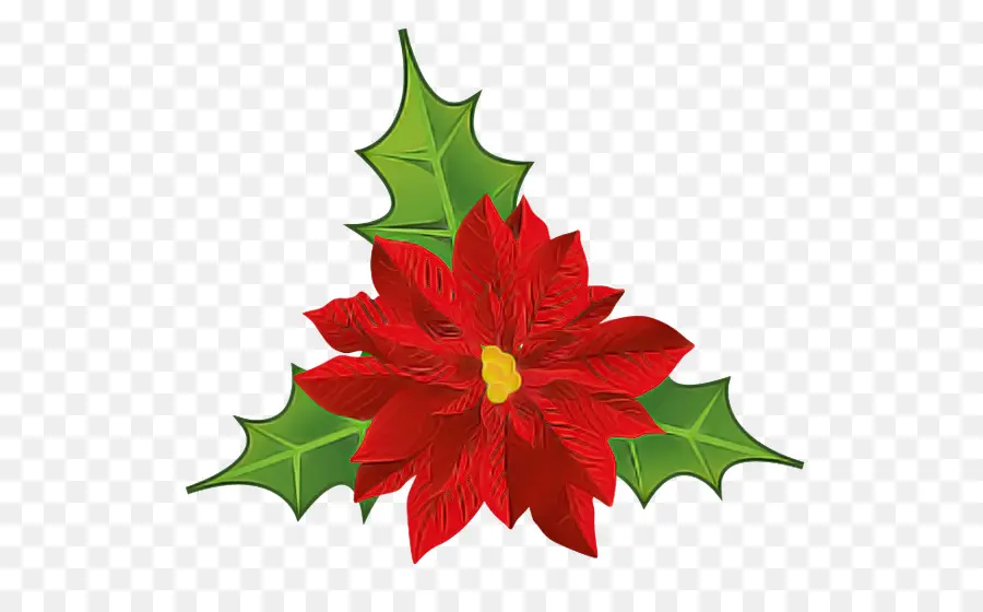 Poinsettia，Bauble PNG