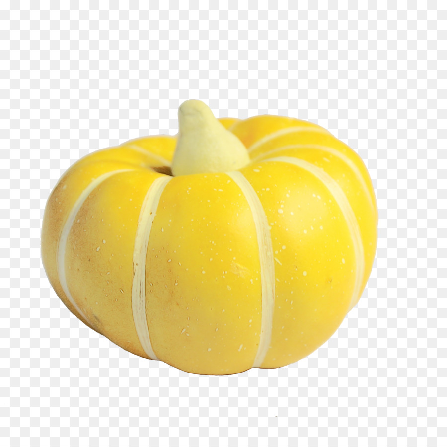 Squash，Inverno De Squash PNG