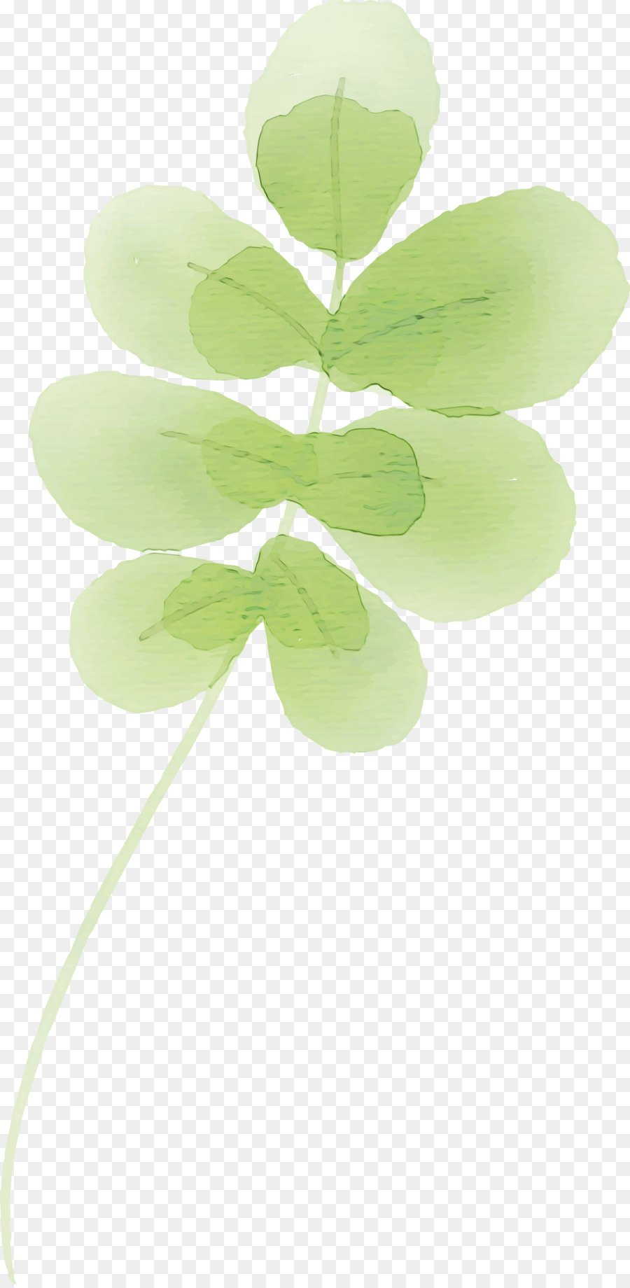 Folha，Verde PNG