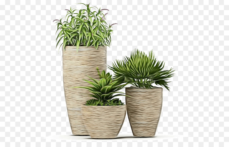 Flowerpot，Gramíneas PNG