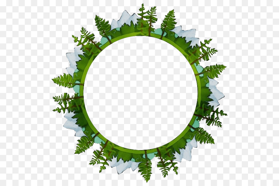 Folha，Comum Holly PNG