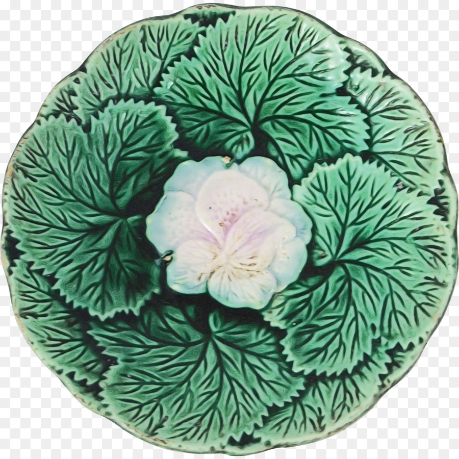 Platter，Flor PNG