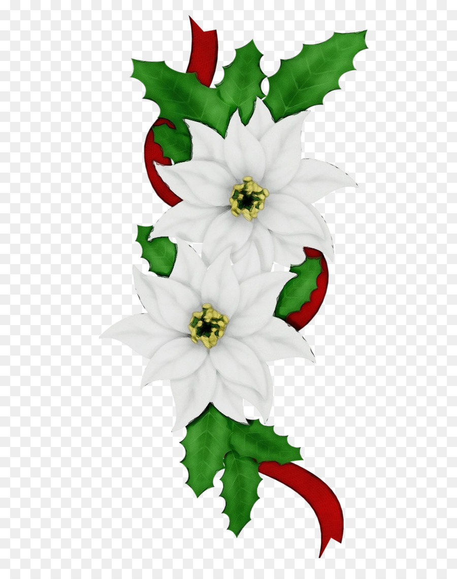 Poinsettia，Christmas Day PNG