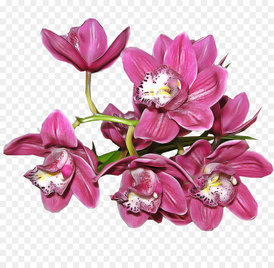 Flores，Florescer PNG