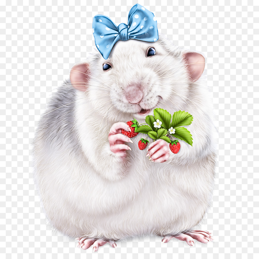 Hamsters，Roedores PNG