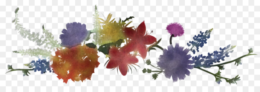 Design Floral，Folha PNG