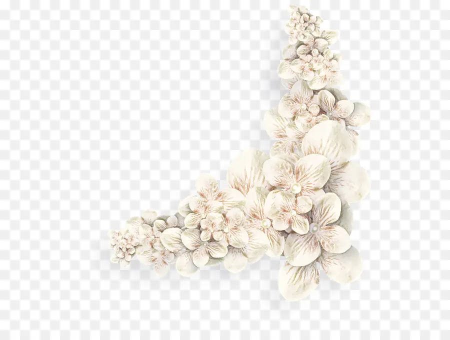 Flores Brancas，Flores PNG