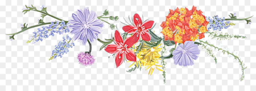 Design Floral，Folha PNG