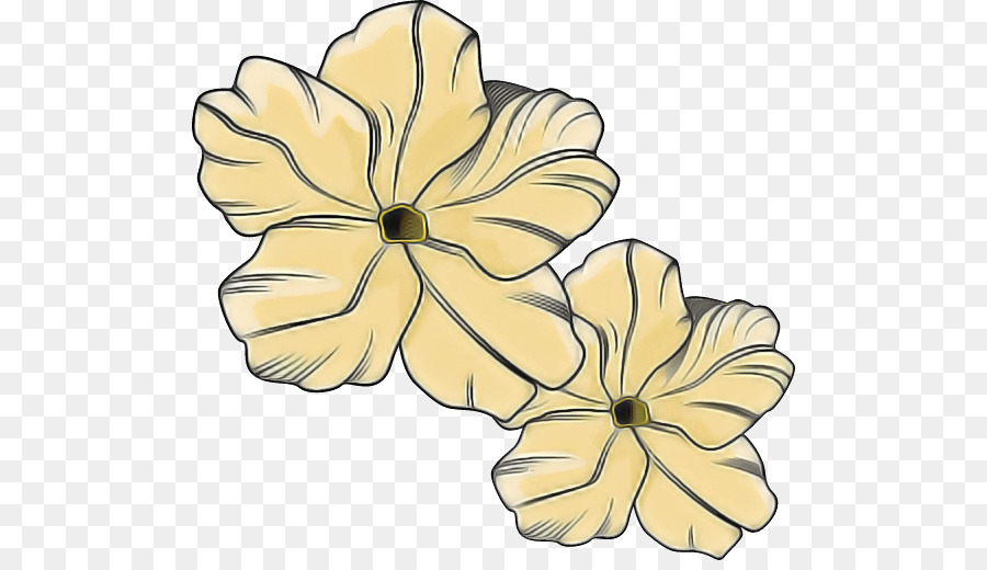 Hibiscus，Mallows PNG