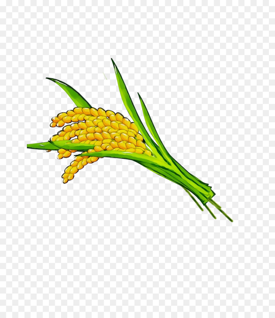 Planta De Haste，Mercadoria PNG