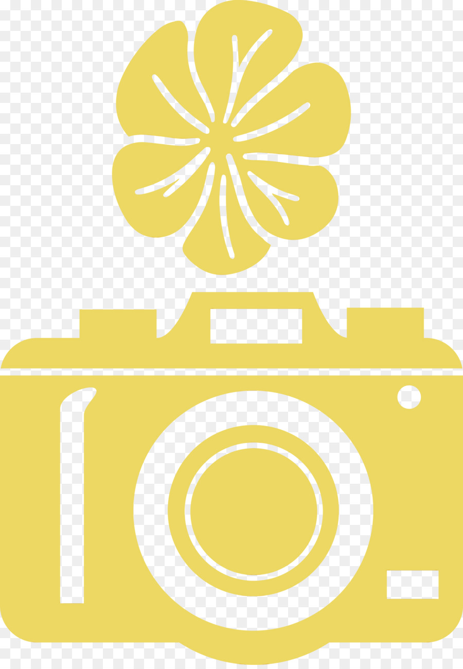 Flor，Amarelo PNG