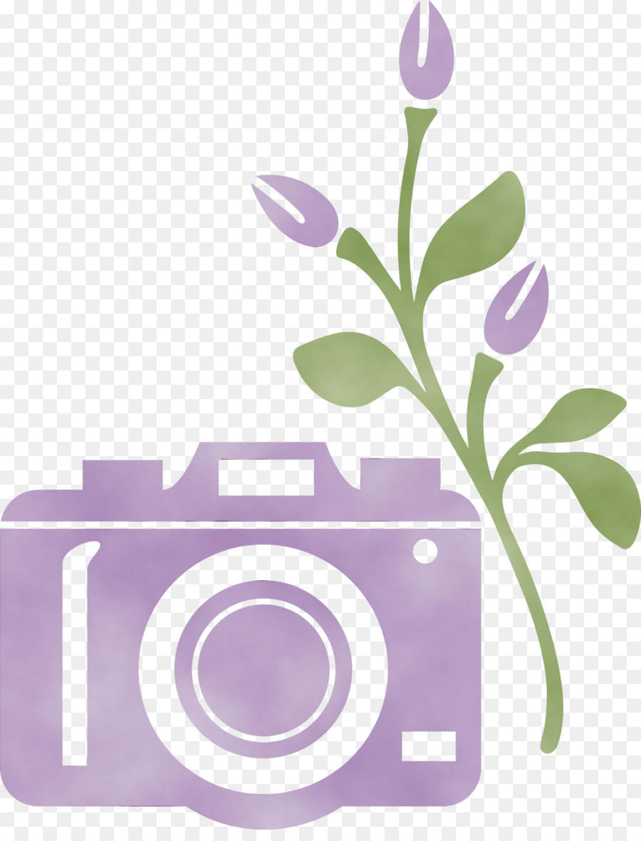 Flor，Meter PNG