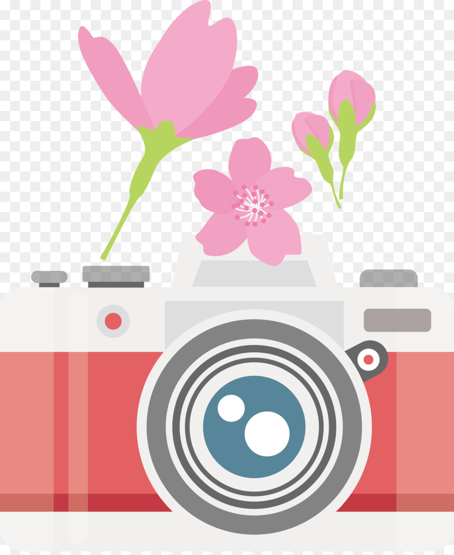 Design Floral，Flor PNG