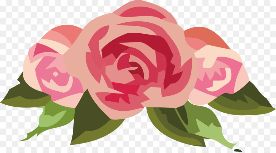 Rosas，Florescer PNG