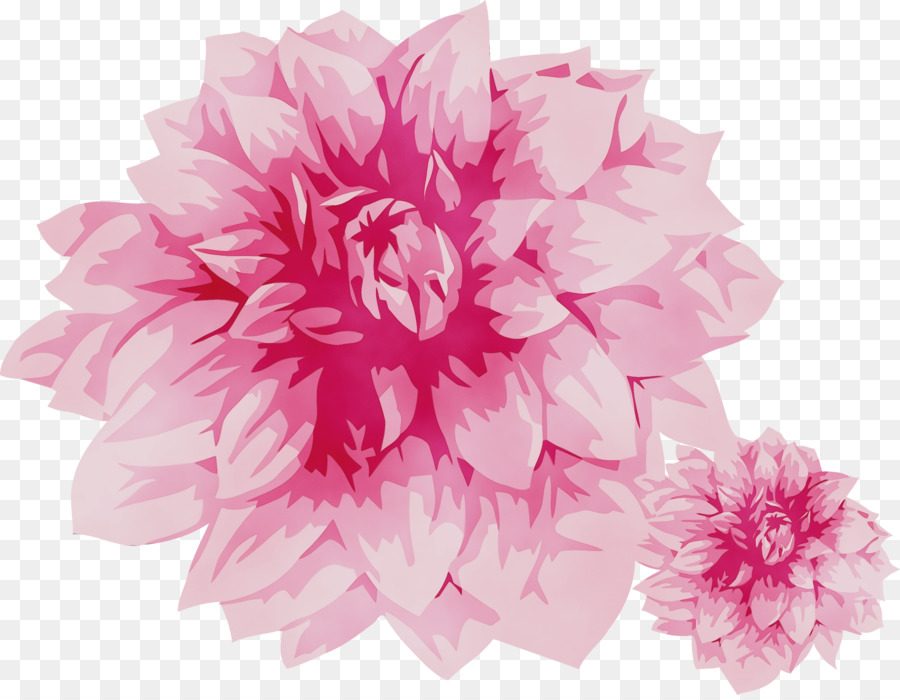 Design Floral，Flor PNG