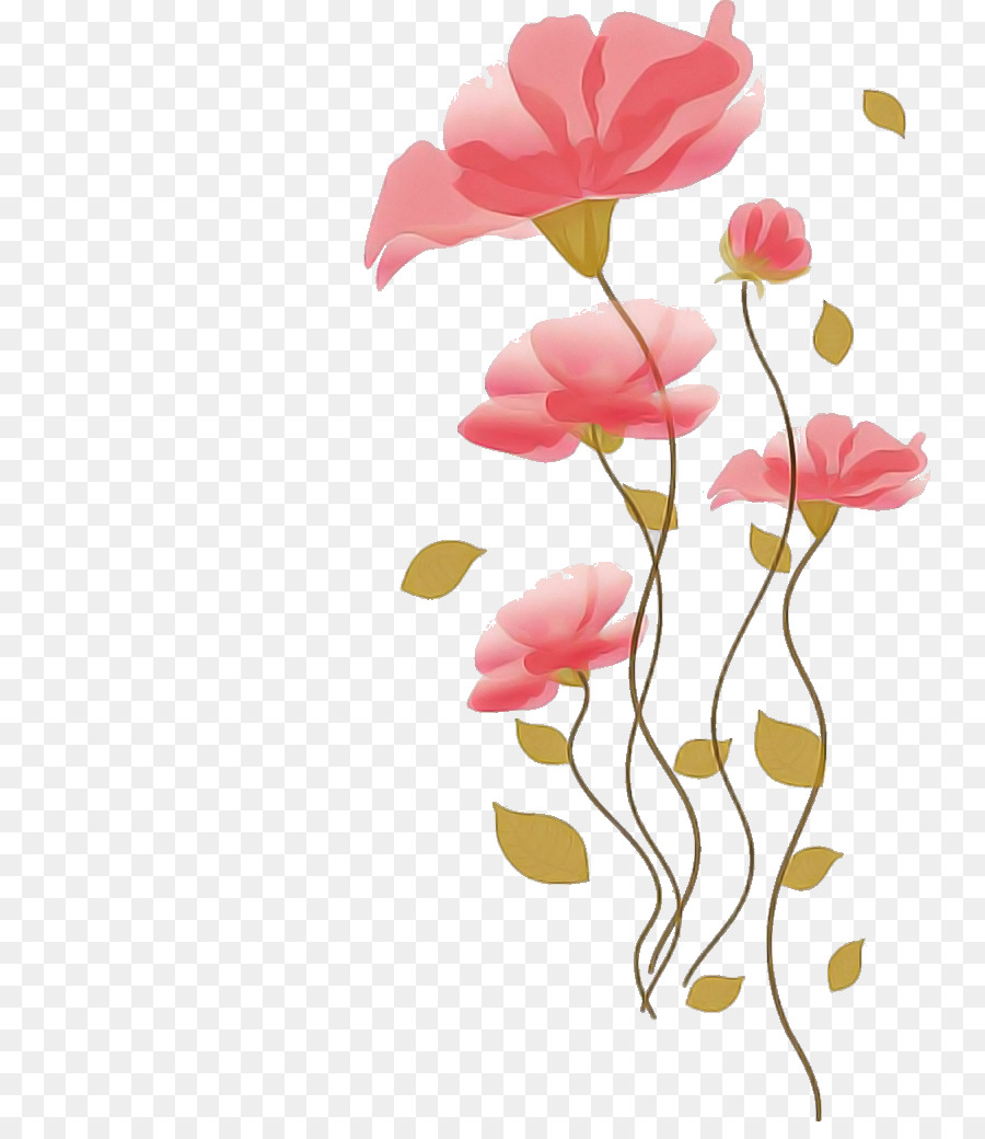 Flores Rosa，Florescer PNG