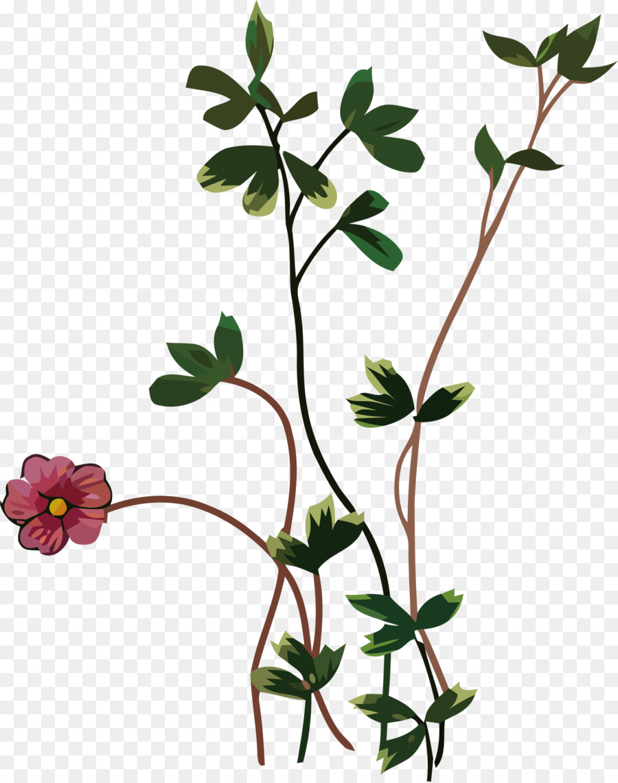 Planta Com Flores，Flores PNG