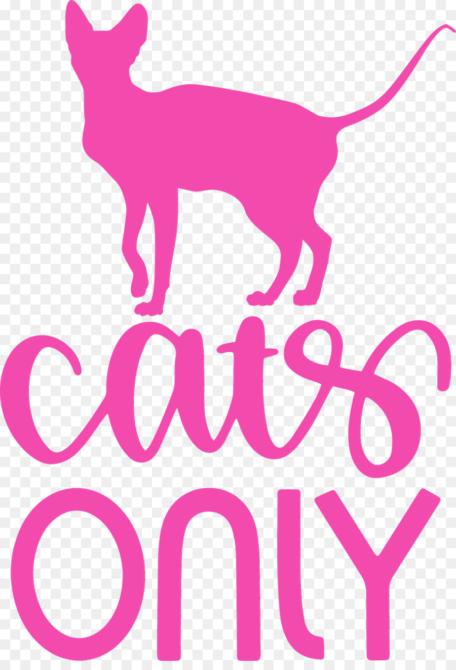 Gato，Cachorro PNG