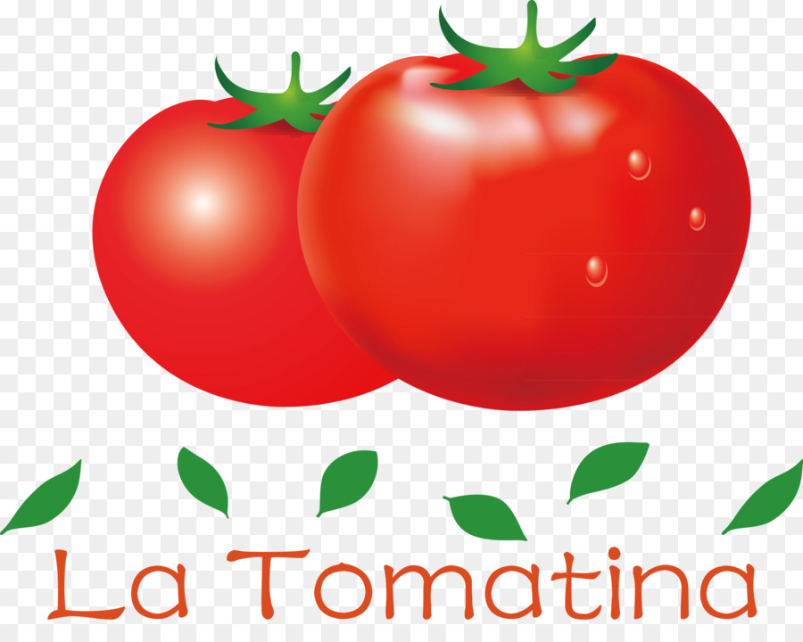 Bush Tomate，Alimentos Naturais PNG