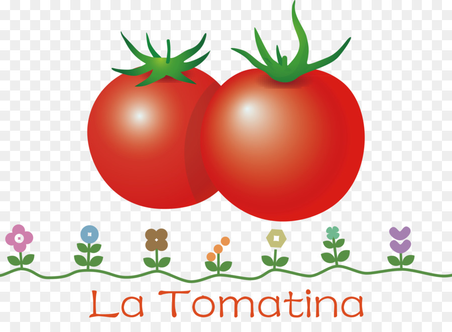 Bush Tomate，Alimentos Naturais PNG