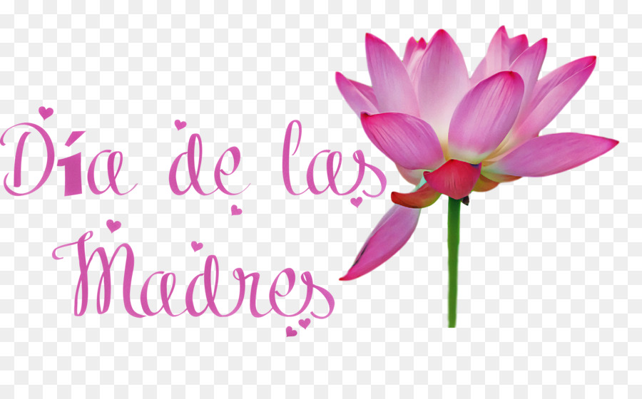 Design Floral，Flores De Corte PNG