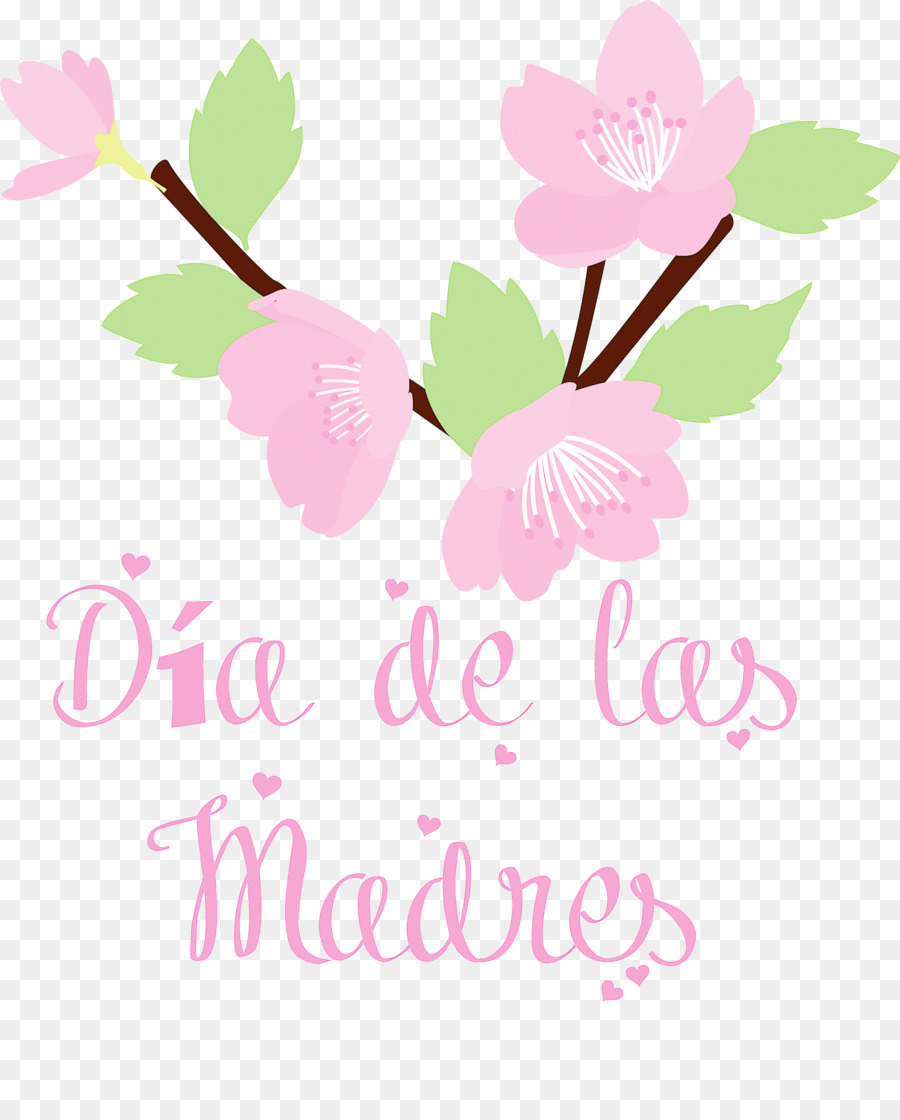 Design Floral，Flor PNG