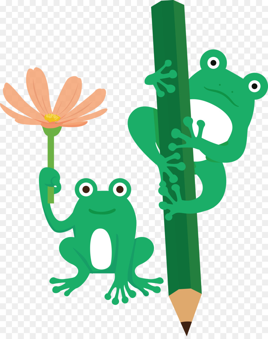 Tree Frog，Cartoon PNG
