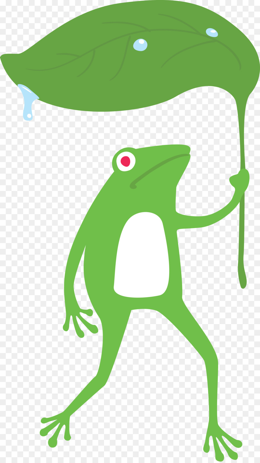 Verdadeiro Sapo，Toad PNG