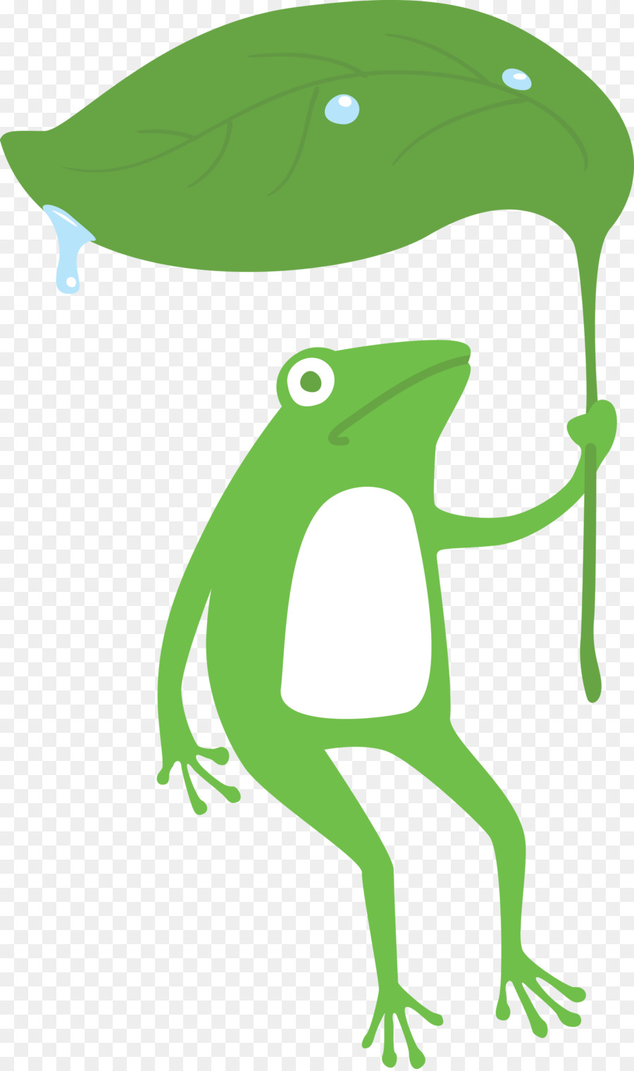 Verdadeiro Sapo，Tree Frog PNG