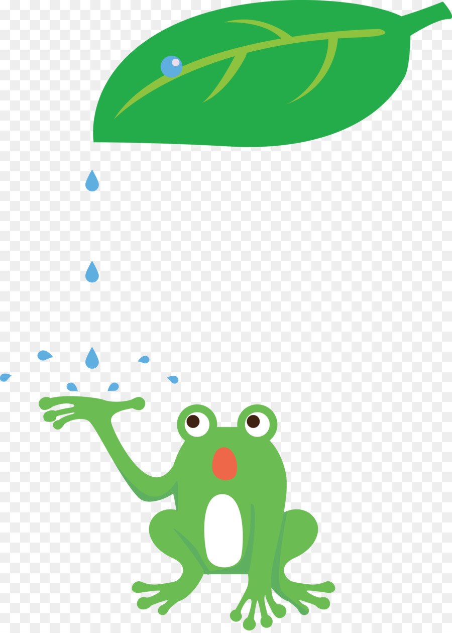 Tree Frog，Os Sapos PNG