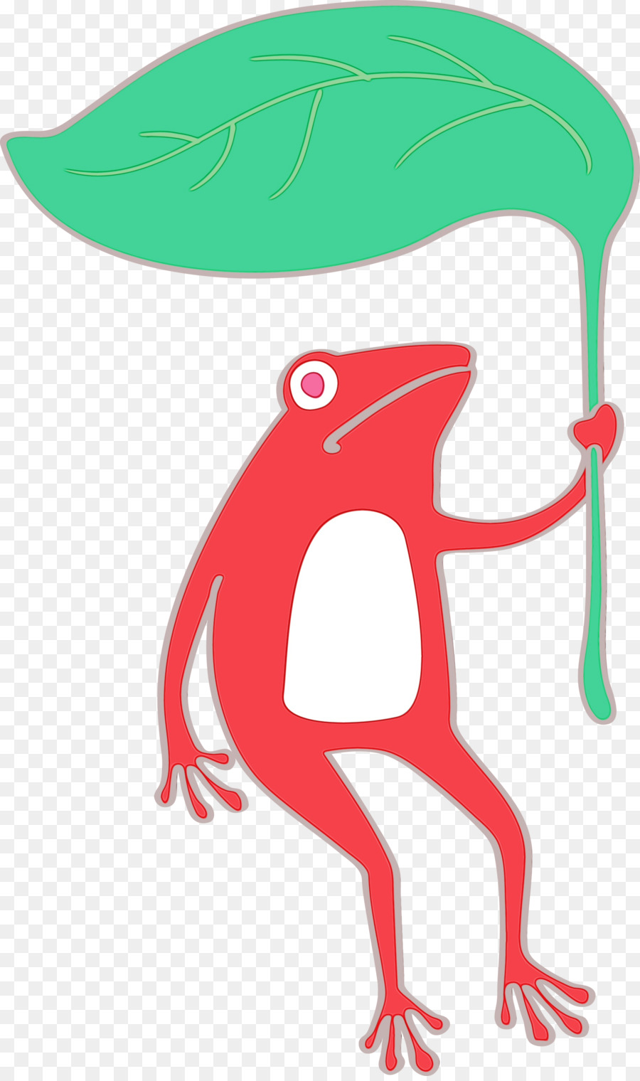 Aves，Tree Frog PNG