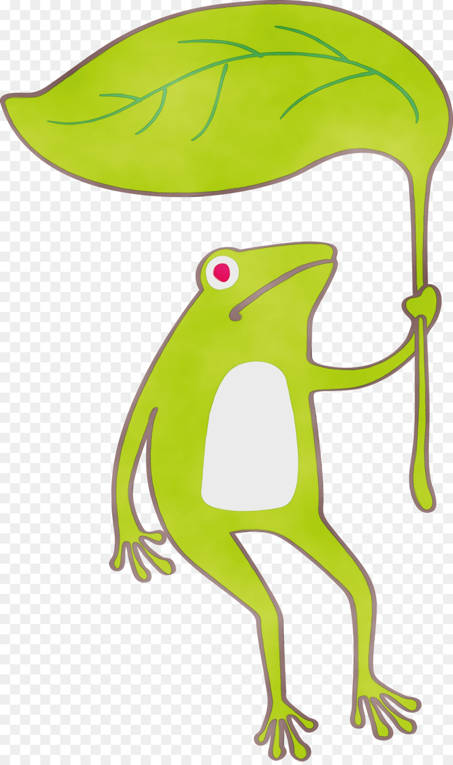 Verdadeiro Sapo，Tree Frog PNG