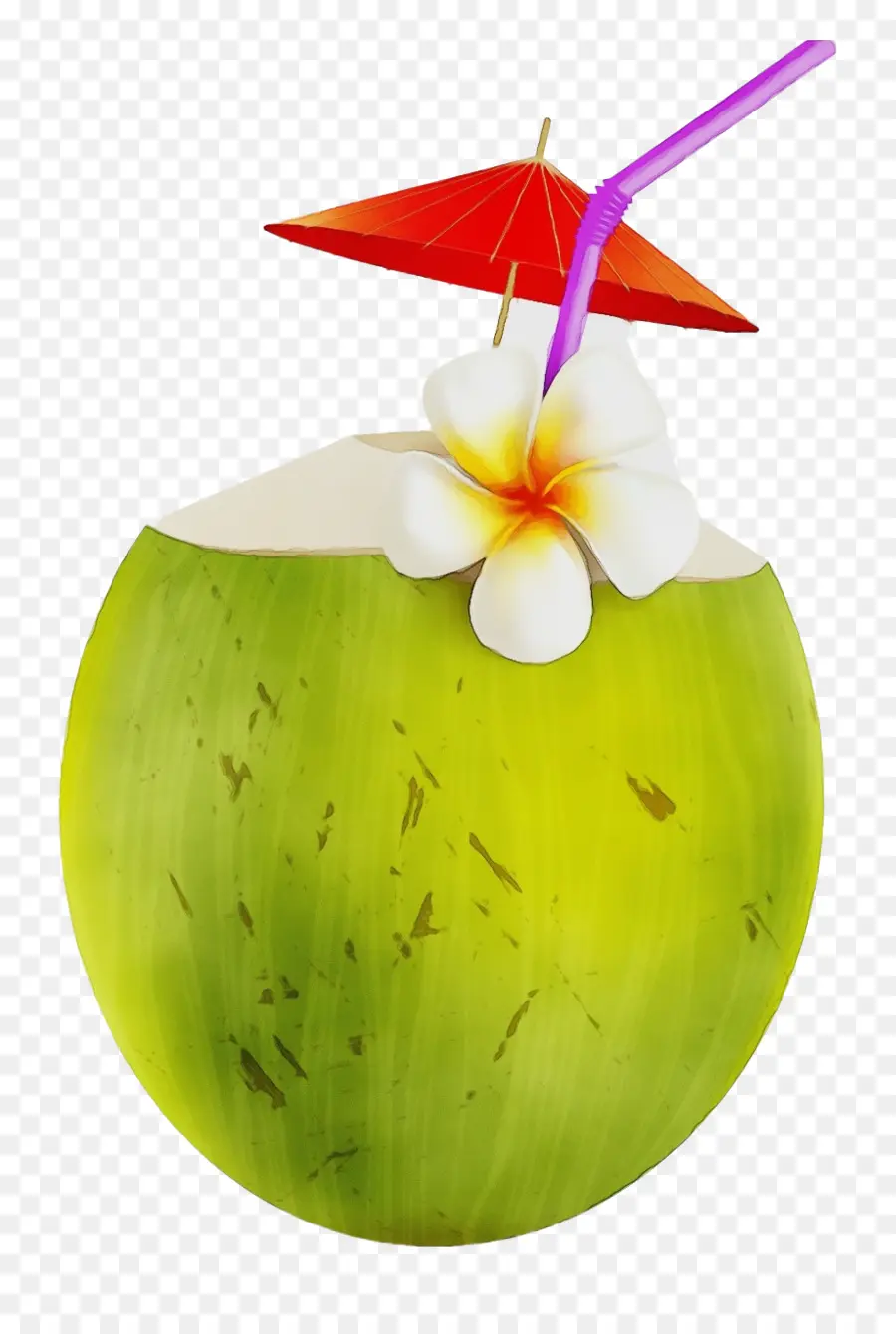 Bebida De Coco，Canudo PNG