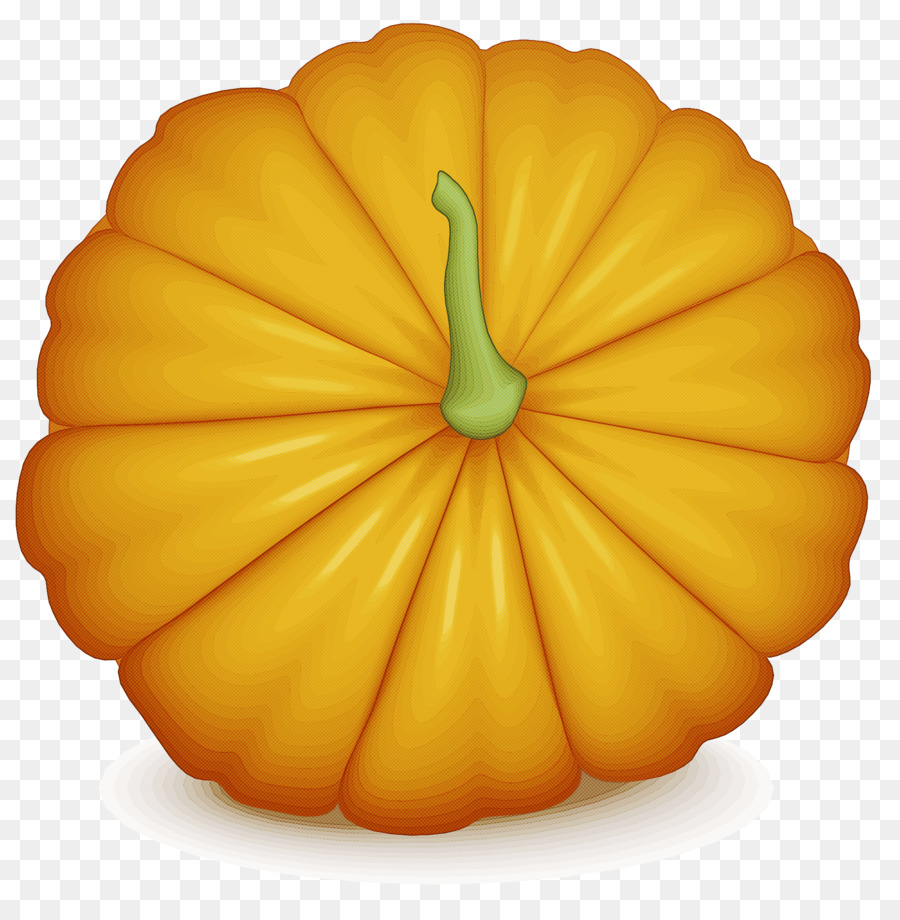 Squash，Inverno De Squash PNG