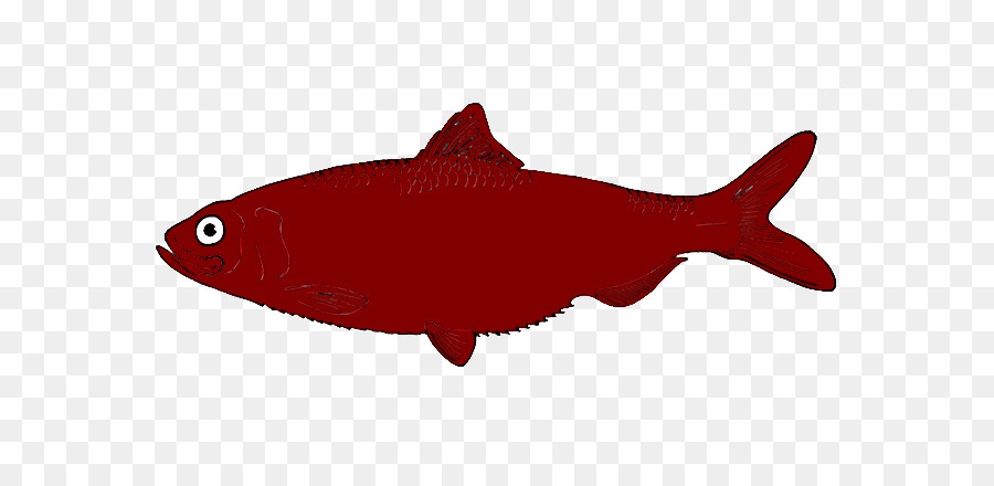 Peixe Vermelho，Olho Amarelo PNG