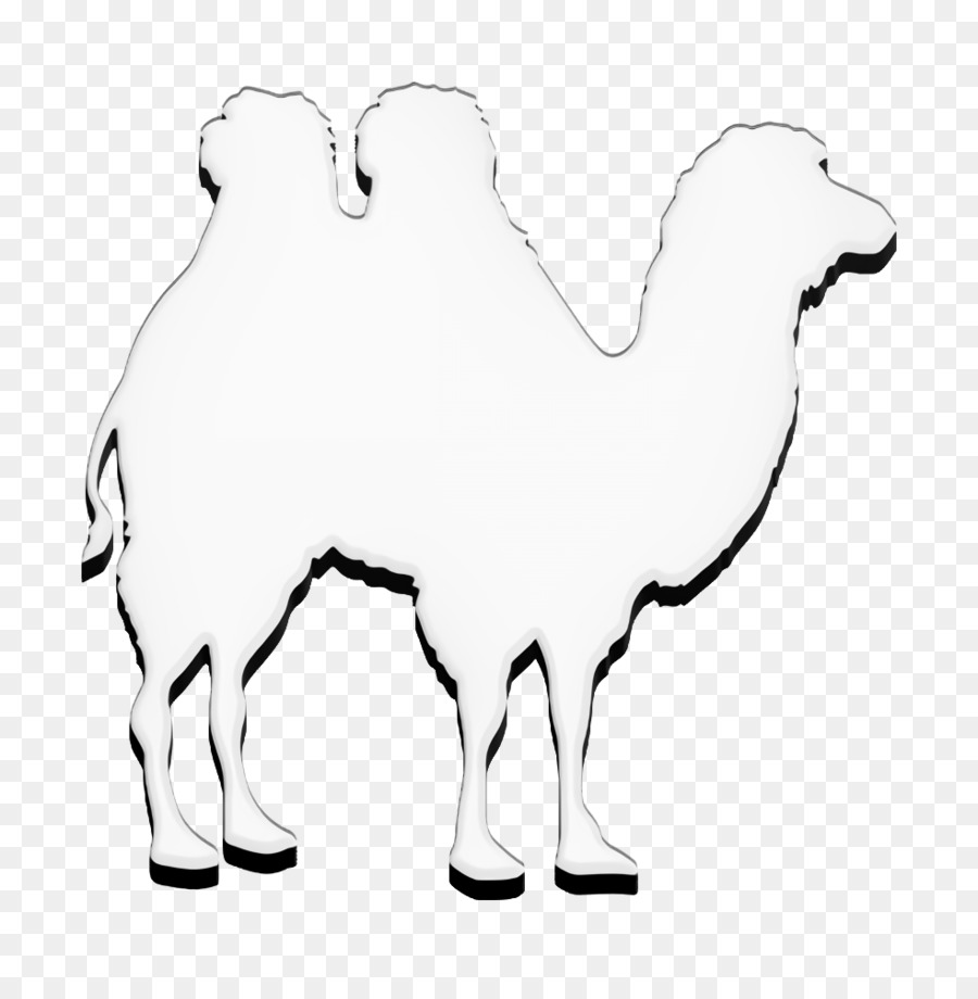 Camelos，Cavalo PNG