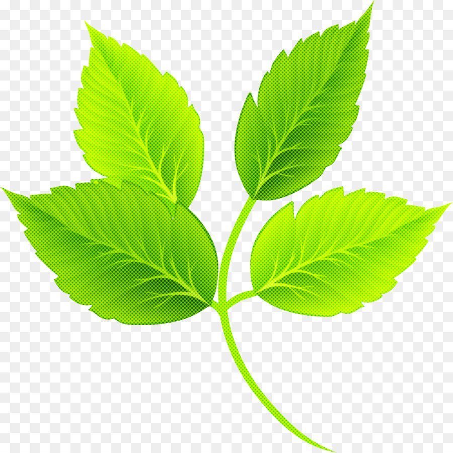 Folhas Verdes，Plantar PNG