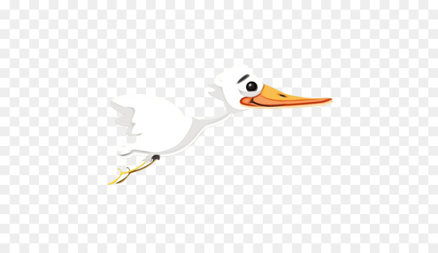 Aves，Pato PNG