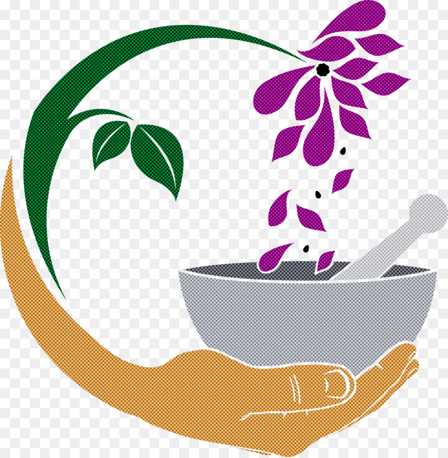 Flor，Flowerpot PNG