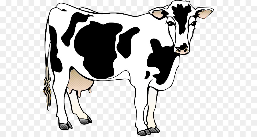 Búfalos Murrah，Holstein Frísia Gado PNG