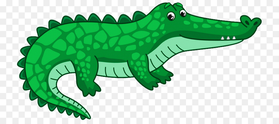 Dos Crocodilos，Jacarés PNG