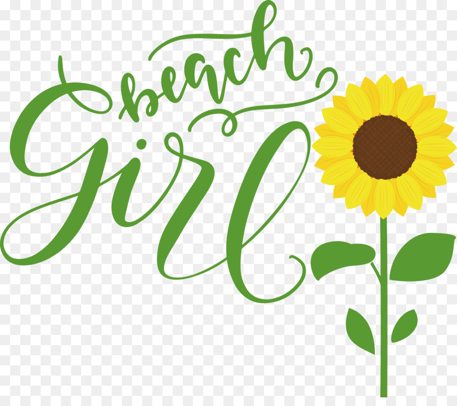 Design Floral，Daisy Família PNG