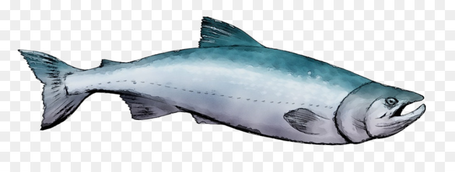 Peixe，Aquático PNG