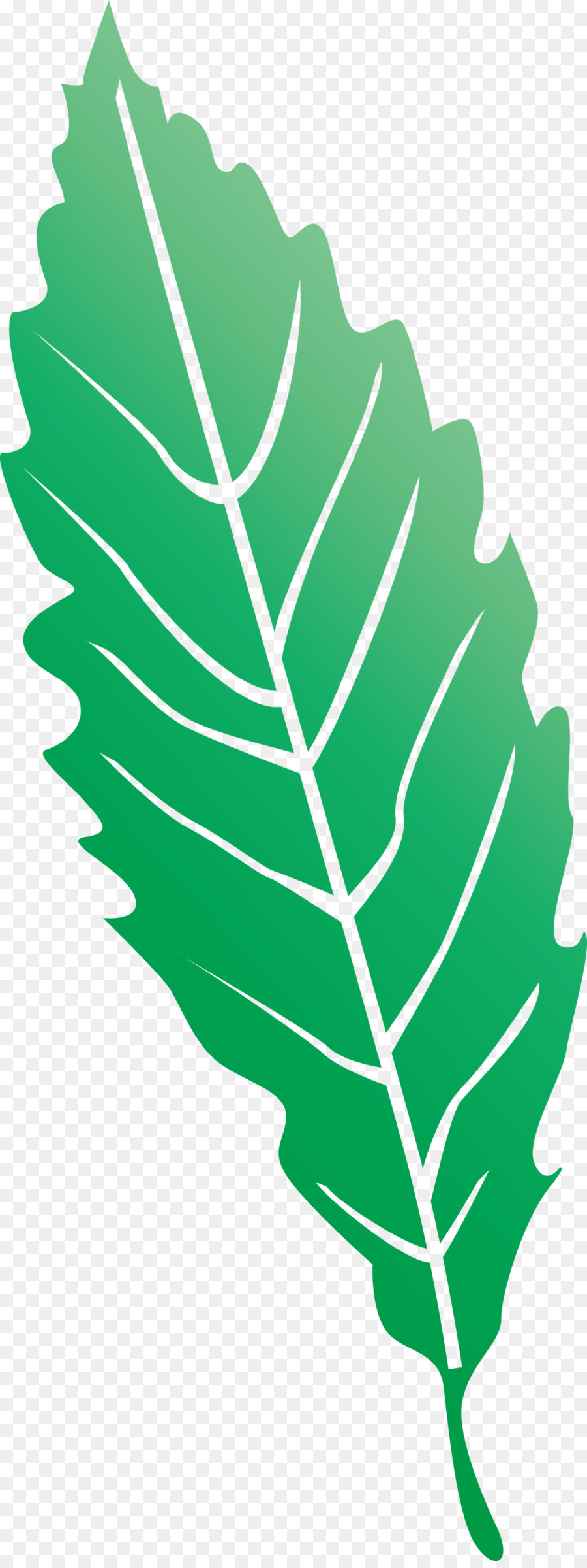 Folha Verde，Plantar PNG